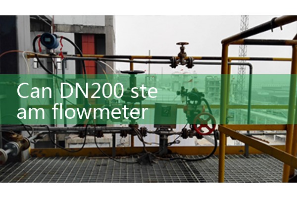 DN200 steam flowmeter